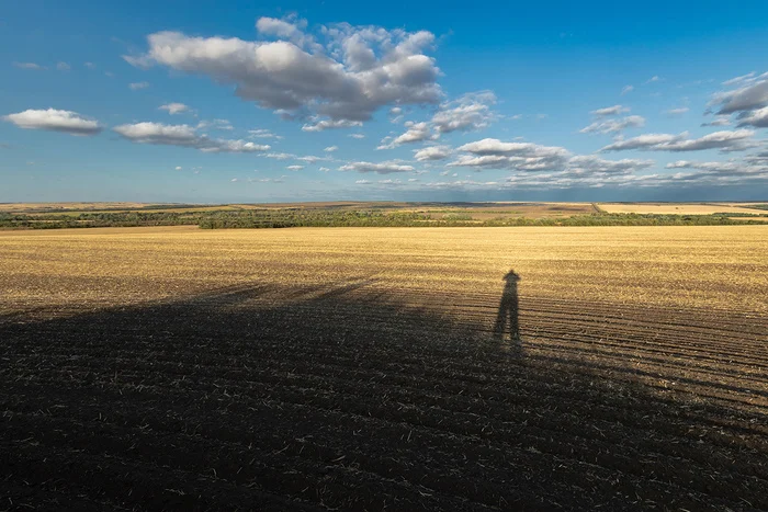 Self-portrait - My, Steppe, Rostov region, Field