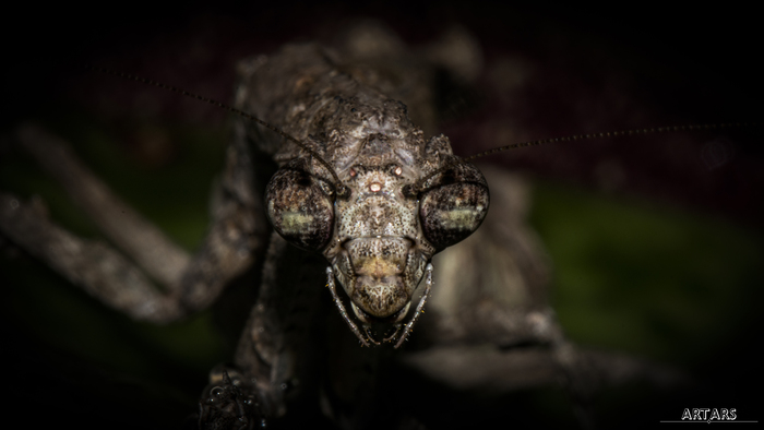 ������ ��� �������� ���������� ����� ����� � � ����������� �� ���� �������� �� ���� ����� ������������� �� ����-����������� �� ����� ��������� �������