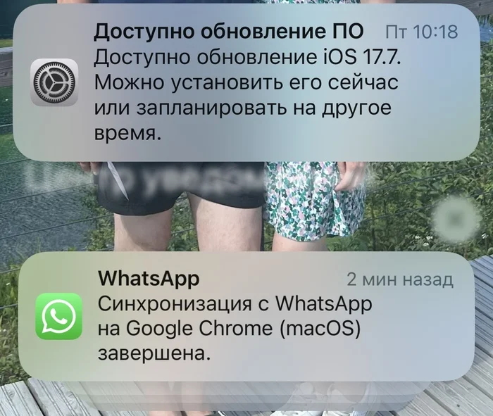 Следят ли за мной? - Моё, Приложение на IOS, iPhone, Шпионаж, Подозрительно, Whatsapp