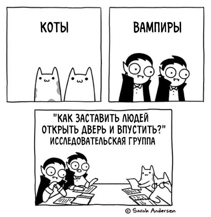 Коты, вот кто в ваших рядах! - Юмор, Картинка с текстом, Кот