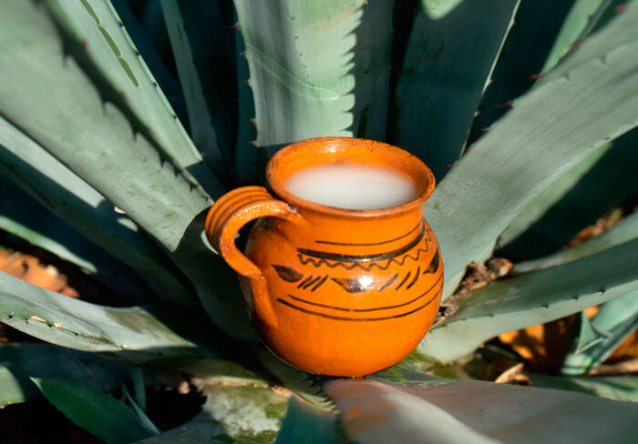  .    <!--noindex--><a href="https://pikabu.ru/story/agava_amerikanskaya_11884178?u=http%3A%2F%2Fmustafakebab.ru&t=mustafakebab.ru&h=95cb7f69bca3a987bf9f2ec50be50073fcf506b2" title="http://mustafakebab.ru" target="_blank" rel="nofollow noopener">mustafakebab.ru</a><!--/noindex-->.