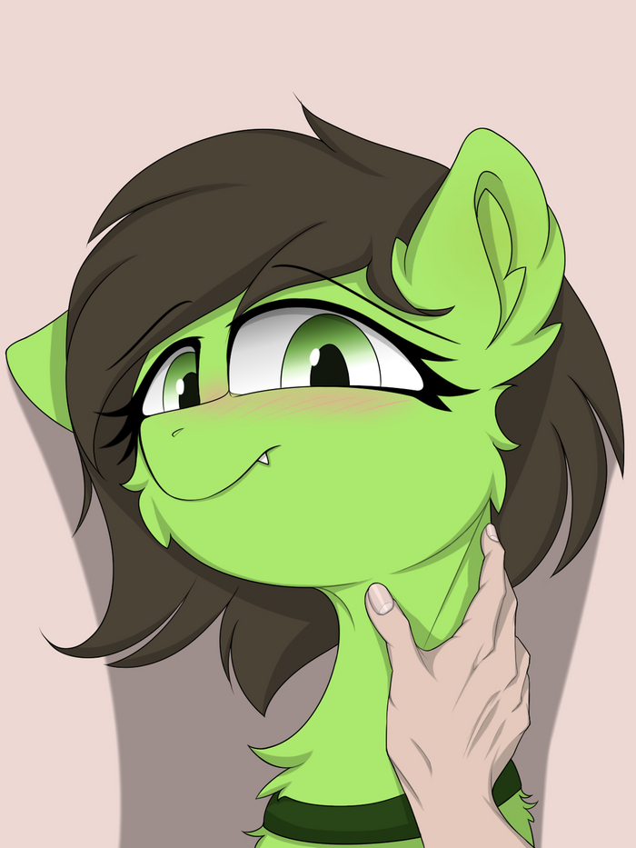  My Little Pony, Filly Anon