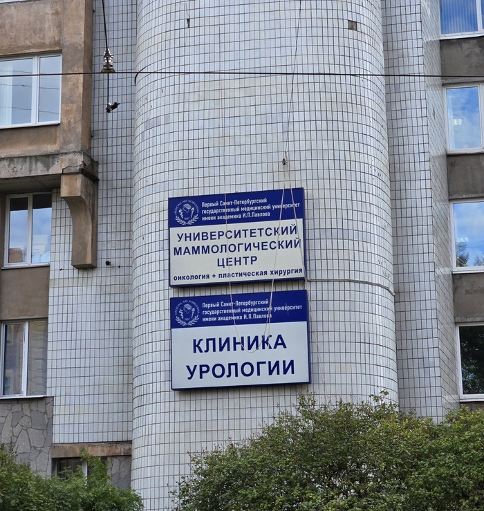 Сиськи и письки)