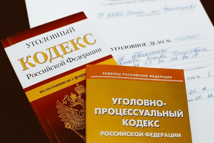 Suspension of criminal proceedings and release from criminal liability of a participant of the SVO - My, investigative committee, Criminal case, Court, Suspended, Military, Special operation, Yandex Zen (link), Longpost, Politics