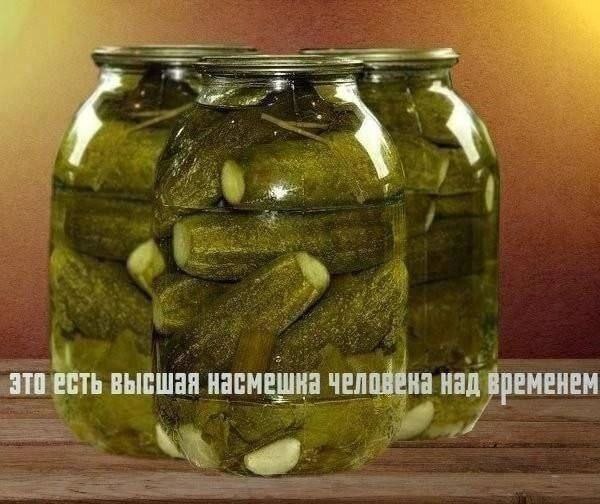 Само время не властно