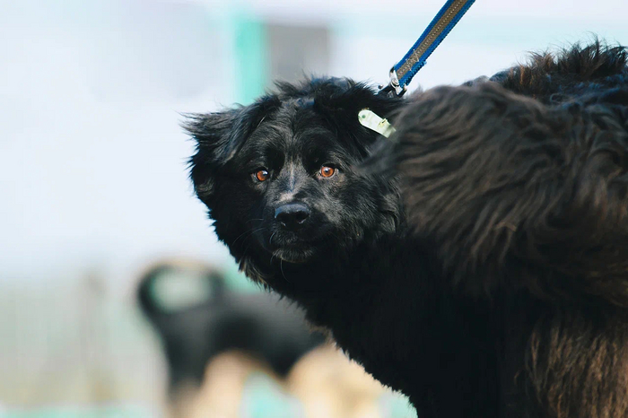 ������� ������ �� ����� ��� �������, ����-�� ��������: ����� ������ ��� ���������� � ��� ����� �����