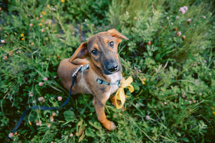 ������� ������ �� ����� ��� �������, ����-�� ��������: ����� ������ ��� ���������� � ��� ����� �����