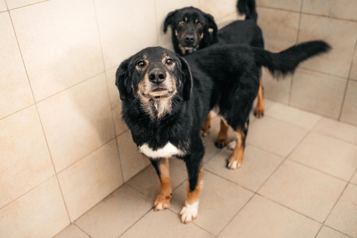 ������� ������ �� ����� ��� �������, ����-�� ��������: ����� ������ ��� ���������� � ��� ����� �����