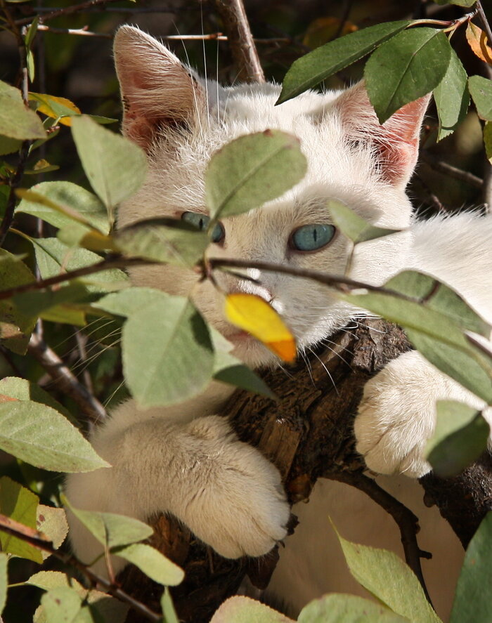 У меня под окном))