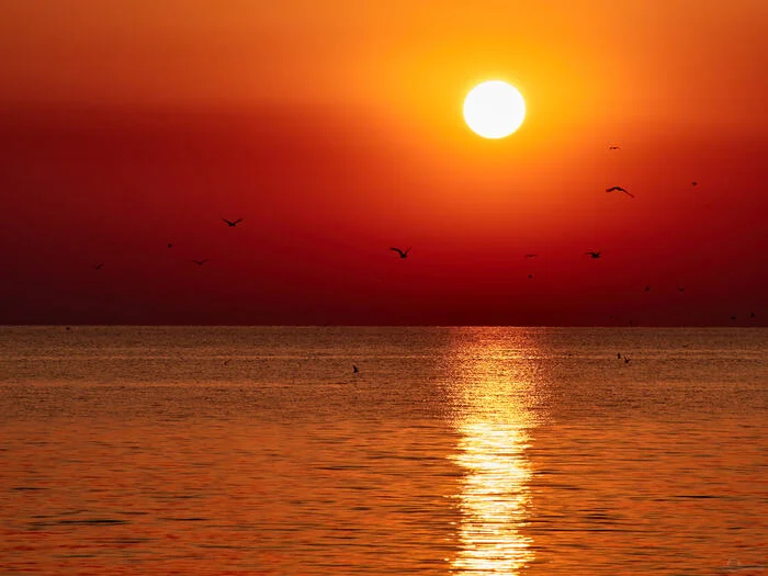 Dawn on the Dolzhanskaya Spit - My, dawn, Yeisk, Dolzhanskaya, Azov sea, Seagulls, Luck, Sunrise, Travels, Adventures, The sun, Landscape