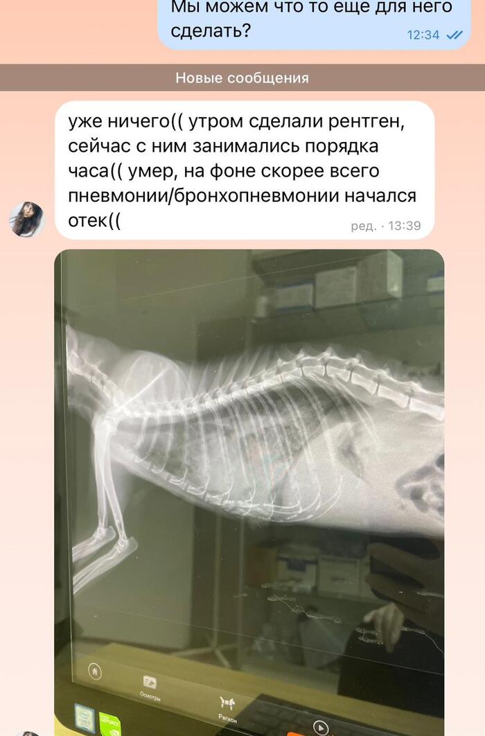 Продолжение поста «Шанс. Ночь прошла, жив. Первый день на стационаре»