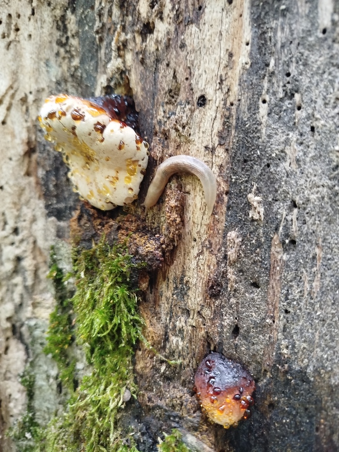 ������� �����...