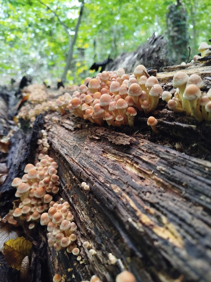 �� �������� �����