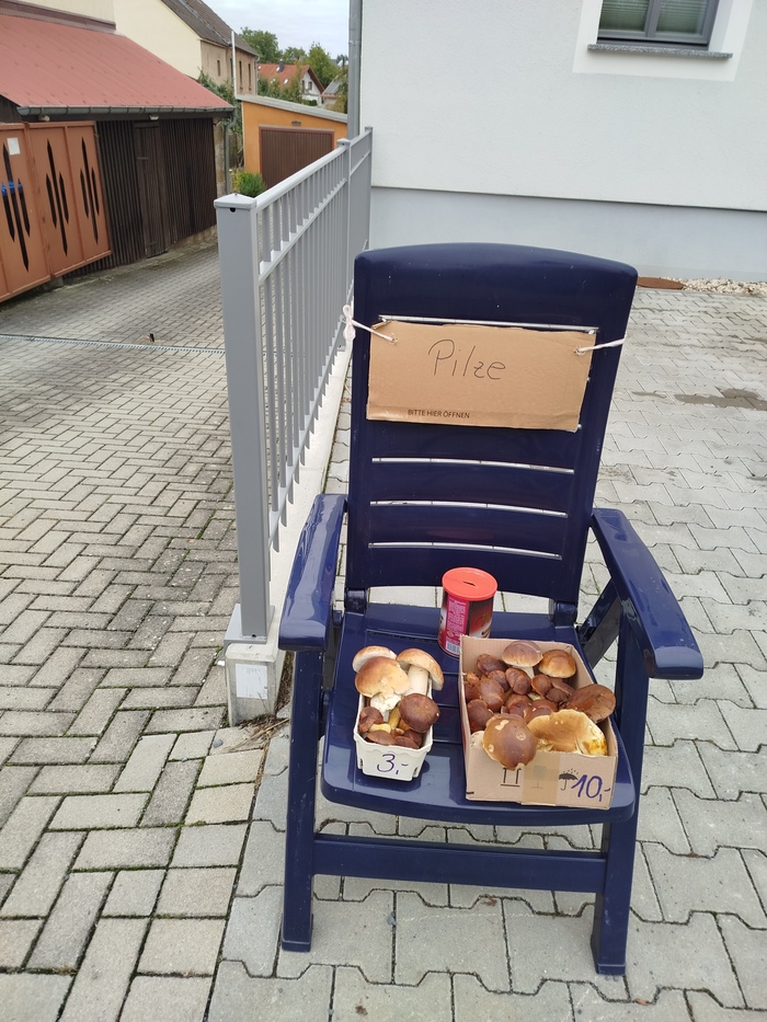 ���� � ����������� ������.