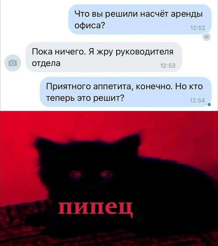 Ничего не меняет - Из сети, Юмор, Переписка, Картинка с текстом, Аренда, Руководитель, Скриншот, Опечатка