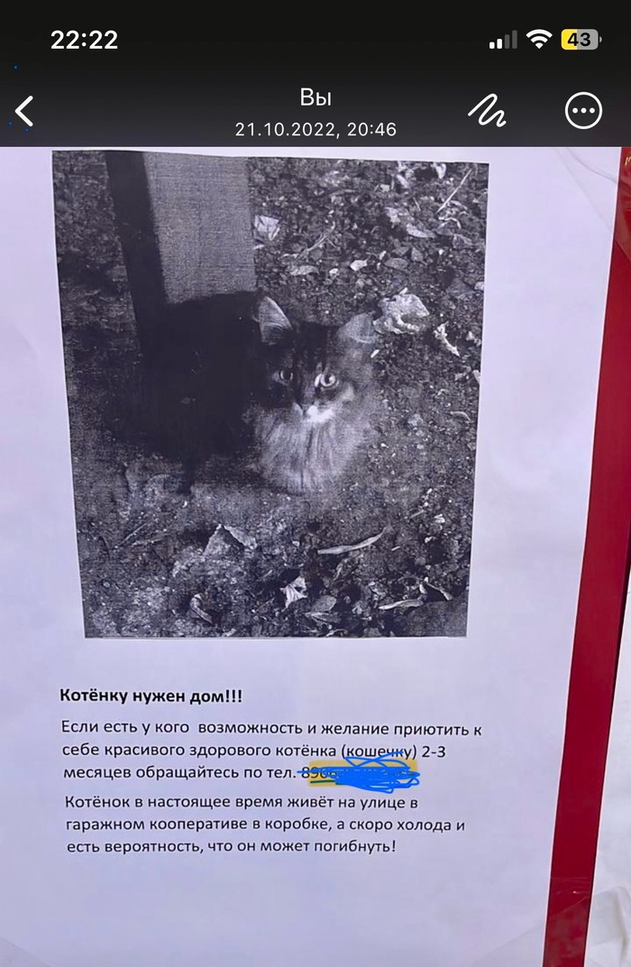 В октябре 2022 года вдруг увидел объявление в подъезде своего дома, ну и понеслось)