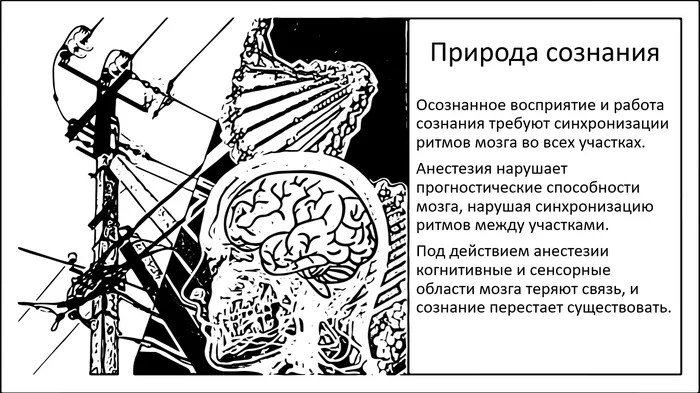 The Nature of Consciousness: How Consciousness Arises and Disappears - My, Research, Brain, Nauchpop, The science, Consciousness, Longpost