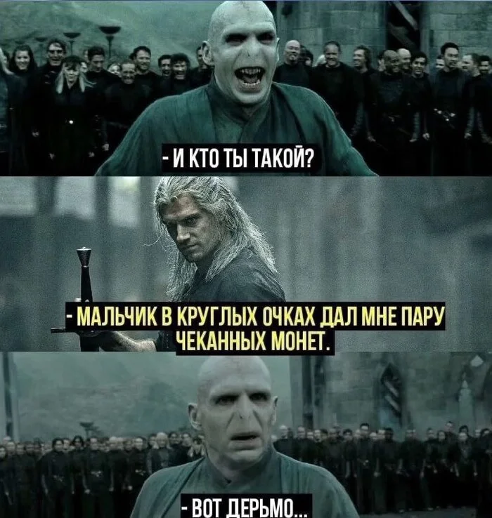 The Witcher - Witcher, Voldemort, Harry Potter, Repeat, Picture with text