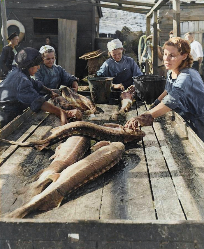 Фотограф: Роберт Капа