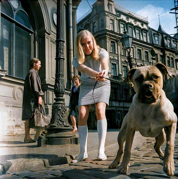 Фотограф: Виктор Садчиков