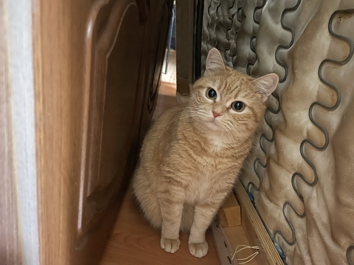 ����� ���� ���