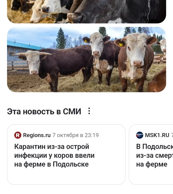 Всё, что нужно знать о современной журналистике - Моё, Журналистика, Московский комсомолец, Мракобесие, Фейк, Длиннопост, СМИ и пресса, Заголовки СМИ, Скриншот