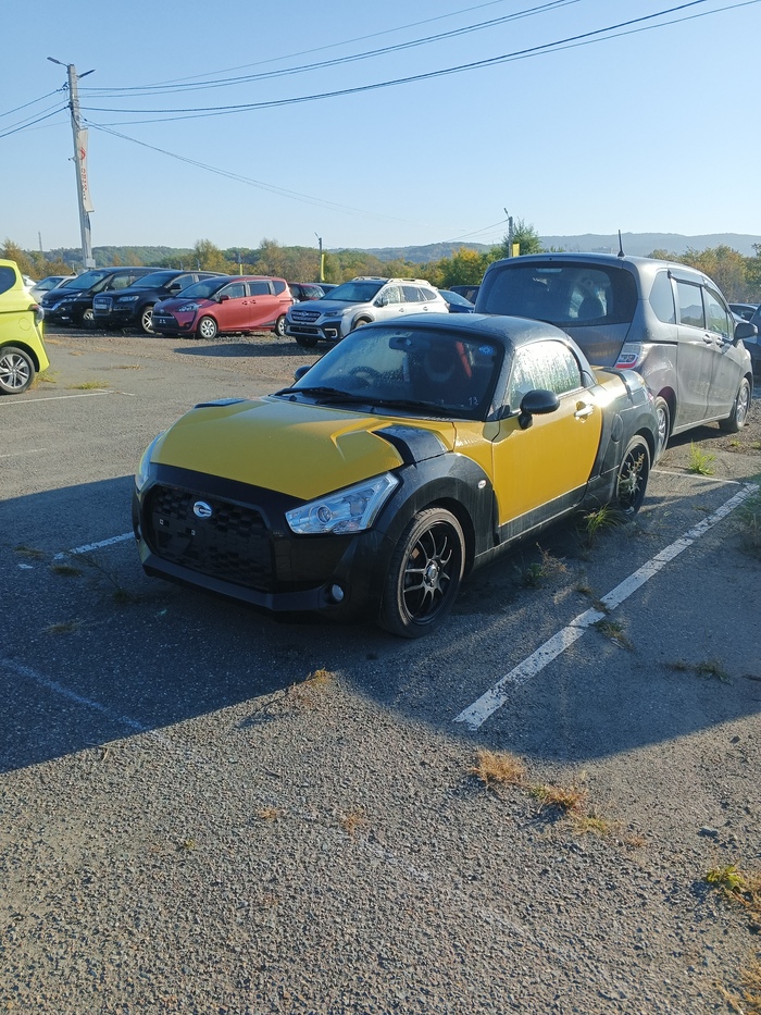 Оч интересный экземпляр, но не наш.