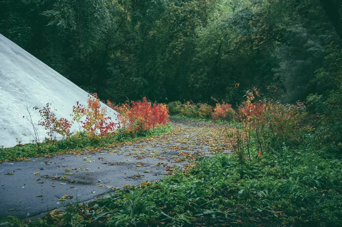 Kemerovo, underbridge - My, The photo, Kemerovo, Nature, Autumn