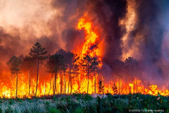 Who is setting our forests on fire? - Fire, Forest fires, Sabotage, Haarp, Climate weapons, Laser weapons, Yandex Zen (link), Longpost