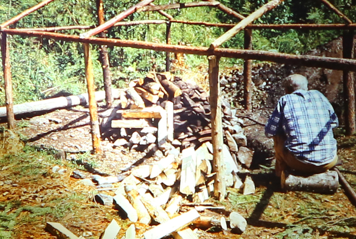   -   ,      .   ,     ,    