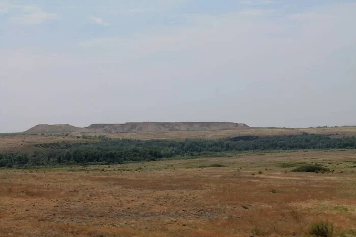 An unplowed field - My, The photo, Nature, Landscape, Steppe, Rostov region