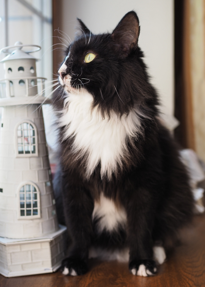 � �� ��� ��� �� �������, ������ �� ���� ����� ���������...