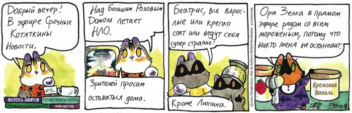 Koteikiny News from 08.10.2024 - My, cat, Koteikin news (comic), Comics, Translation