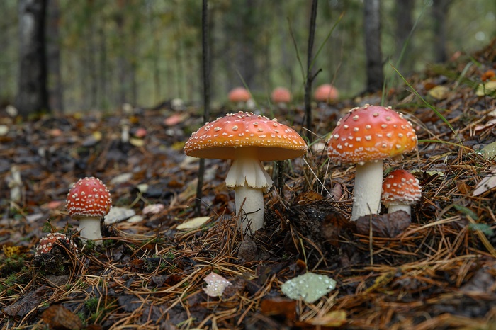 Фото Д. Бухтика.