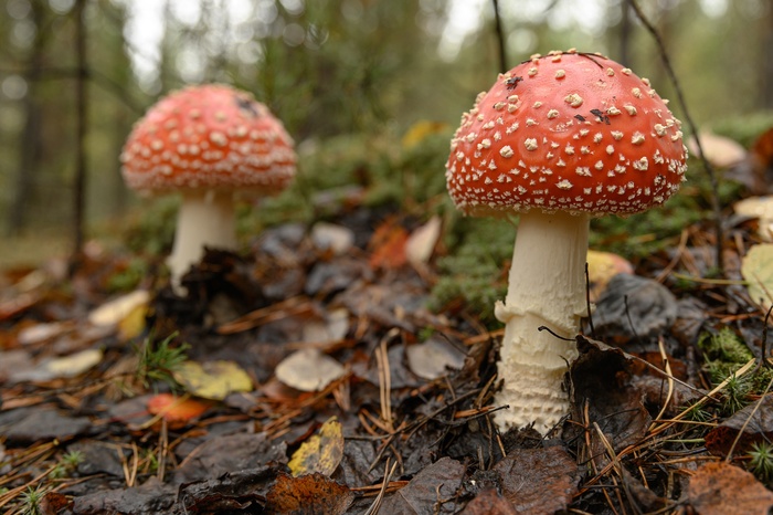 Фото Д. Бухтика.