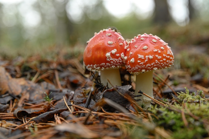 Фото Д. Бухтика.