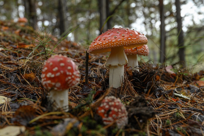 Фото Д. Бухтика.