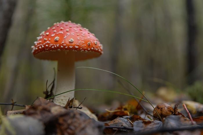 Фото Д. Бухтика.