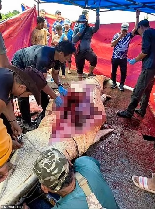 Сотрудники служб и полиции обнаружили внутри одного из крокодилов человеческие кости, зубы и горсть монет и отправили останки в судебно-медицинскую лабораторию Малайзии для дальнейшего анализа