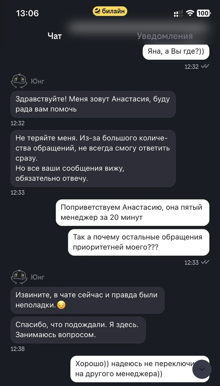 Support that doesn't support - My, Beeline, Support service, Longpost