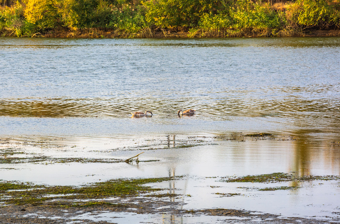 Ужин на двоих