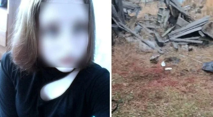 After a pack of dogs attacked a girl in the Yakut village of Chulman, local police became concerned about the safety of stray animals - Dog attack, Stray dogs, Radical animal protection, Osvv, Ministry of Internal Affairs, Yakutia, Neryungri, Chulman, Rights of the child, Burmatov, A shame, Danger, State of emergency, Tragedy, Telegram (link), Negative