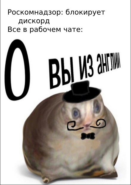 Сос мыслом | Пикабу