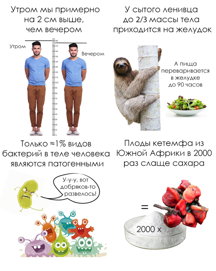 Школьные факты #7