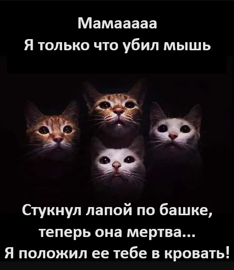 А жизнь только началась...