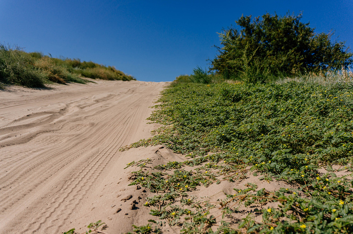 Часто на обочину лучше совсем не съезжать.