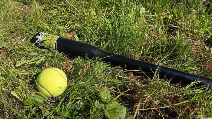 Современная бита