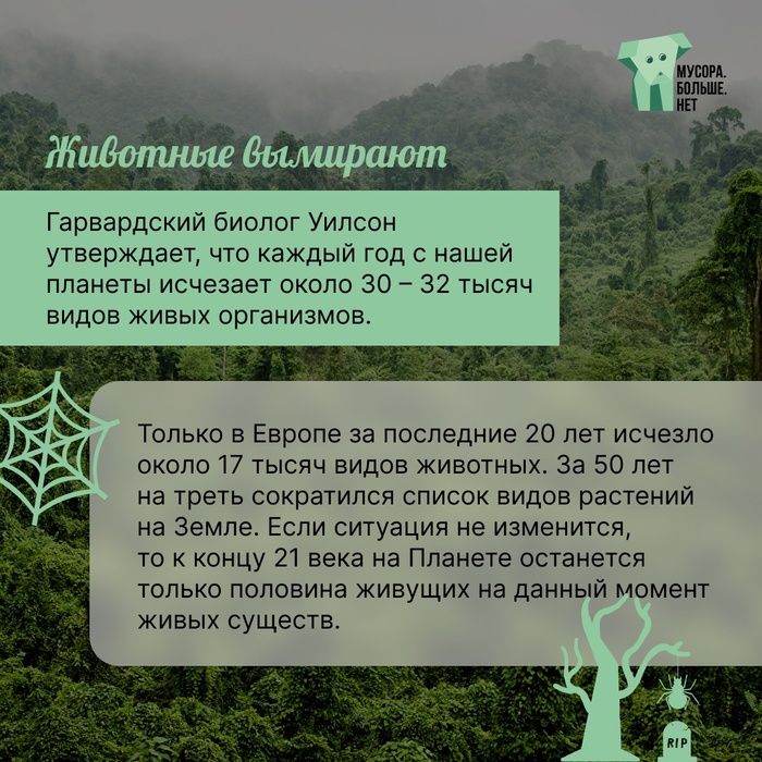 Животные и растения