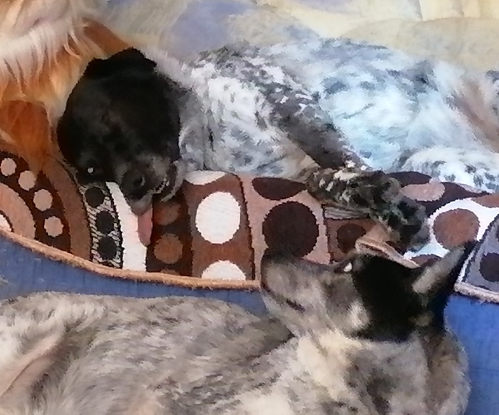 Крепко уснула