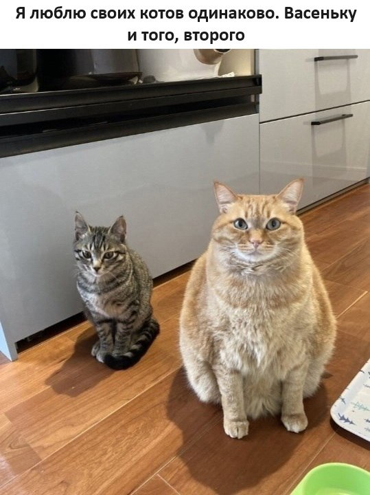 ����, �������, ���� �����:)